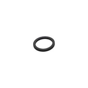 Ring, Sealing, Pfeiffer, DUO, Part# 300207 Ring, Sealing, Pfeiffer, DUO, Part# 300207
