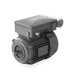 Ersatzmotor-Bausatz EM18 1Ph 115/230V, A36315754 Ersatzmotor-Bausatz EM18 1Ph 115/230V, A36315754