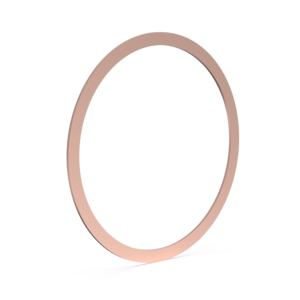 Gasket Annealed Copper - DN 160 CF